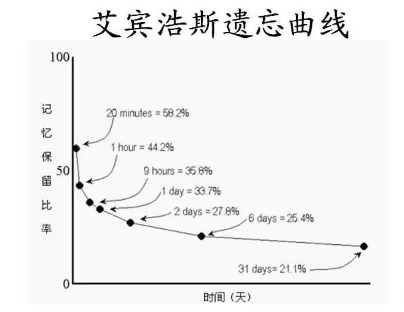 遗忘曲线.webp.jpg